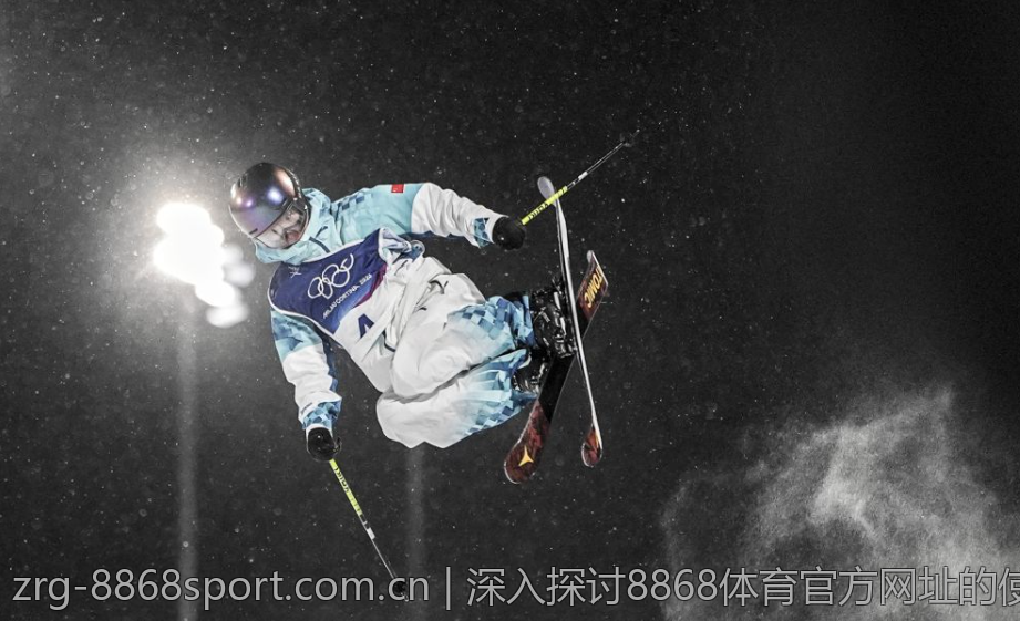 深入探讨8868体育官方网址的使用体验