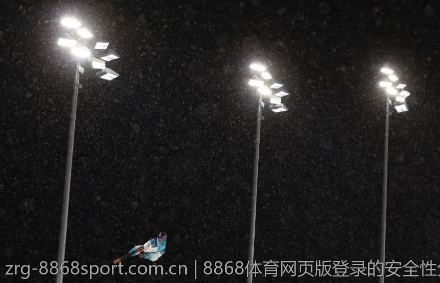8868体育网页版登录的安全性分析